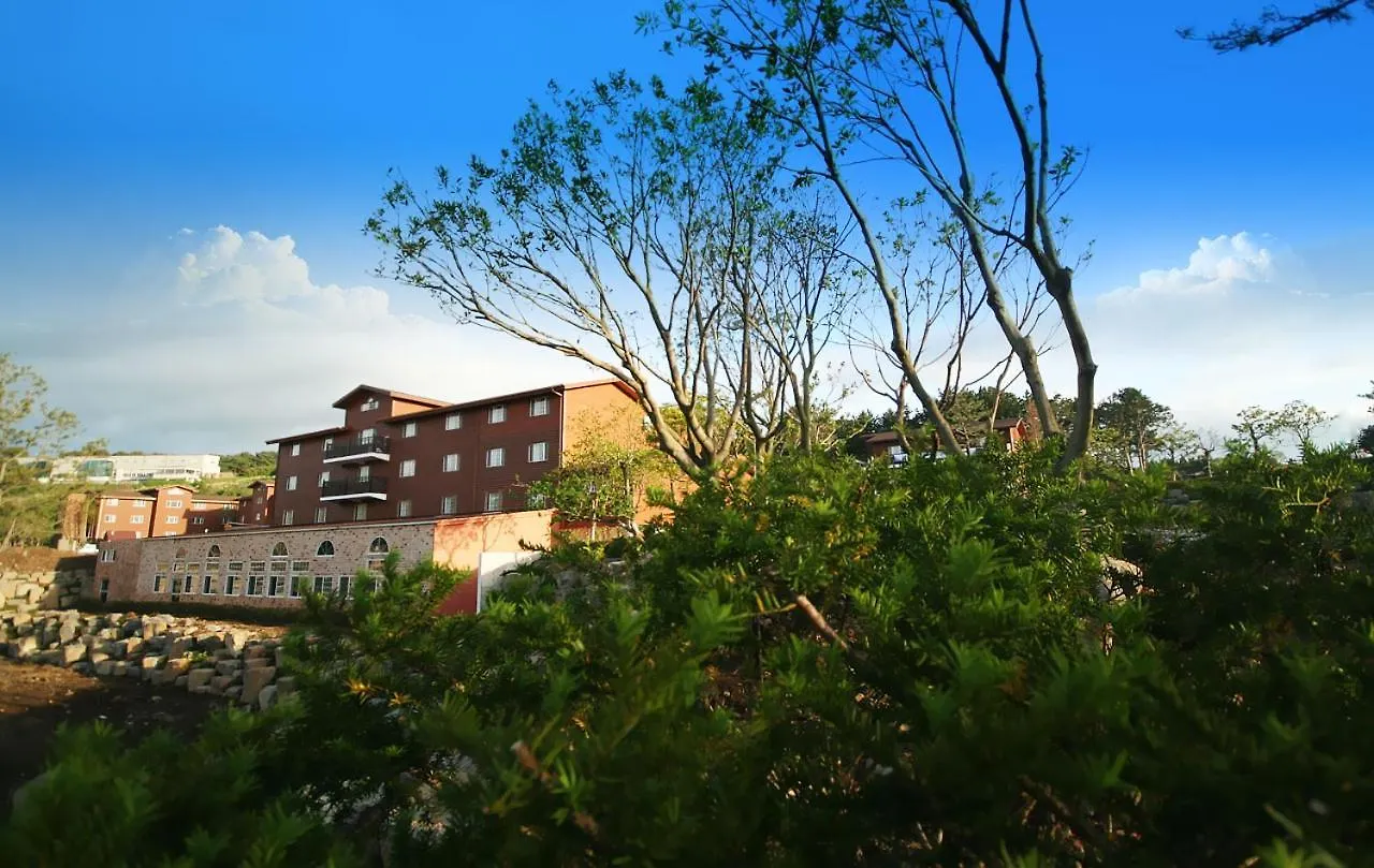 Arbon Youth Hostel & Resort Jeju